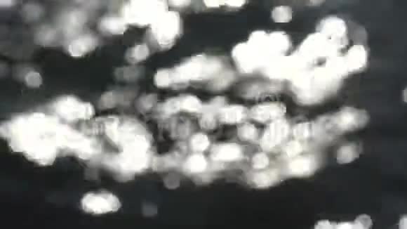 从水中反射出来的阳光视频的预览图