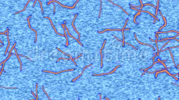 埃博拉病毒产生的无缝循环视频视频的预览图