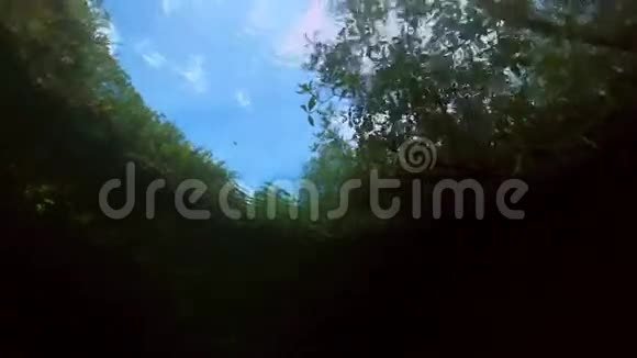 尤卡坦墨西哥塞诺特的树根和岩石视频的预览图