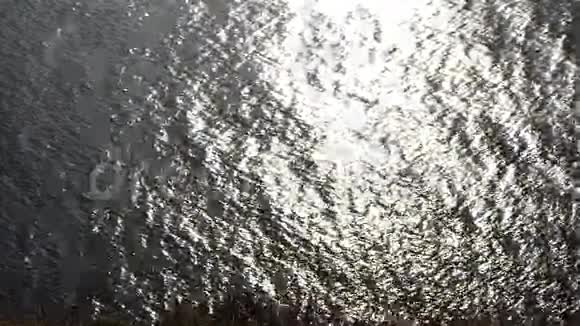 水面太阳反射视频的预览图