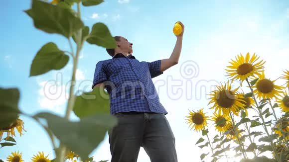 男人手里拿着生活方式一个塑料瓶向日葵油立在田野里慢动作视频向日葵视频的预览图