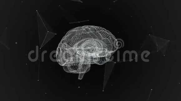 人类的大脑普莱克斯很漂亮的背景科学医学和商业的概念循环动画视频的预览图