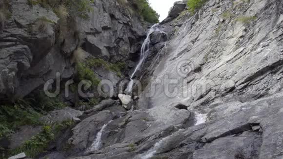 夏天阿尔卑斯山树林里的小瀑布视频的预览图
