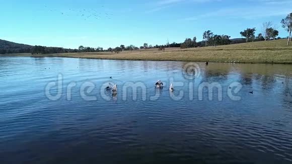 昆士兰州莫格拉湖视频的预览图