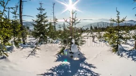 完整的冬季树全景时间间隔4k视频的预览图