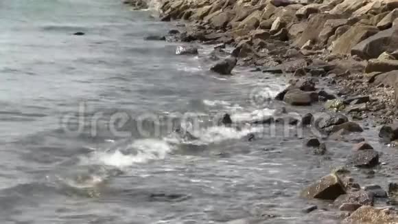 静态瀑布前景叶沙沙视频的预览图