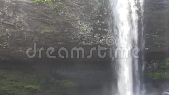 静态瀑布前景叶沙沙视频的预览图