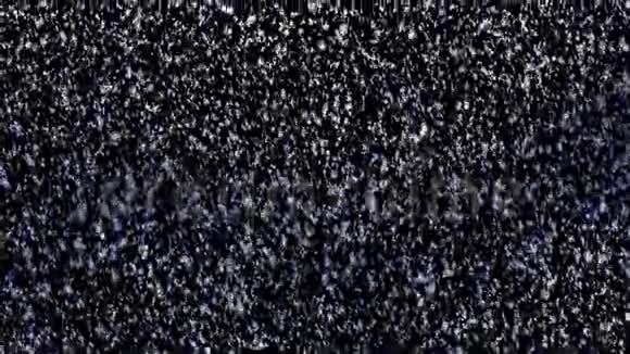 黑背景下冬季寒冷天气的降雪运动视频的预览图