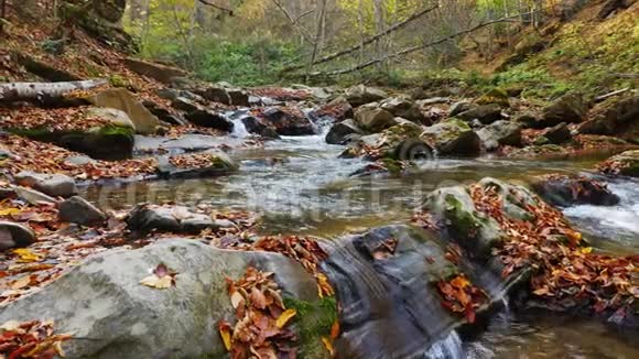 在美丽的晴天秋天的森林里有瀑布的山河视频的预览图
