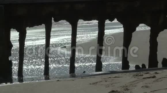 圣莫尼卡海滩视频的预览图