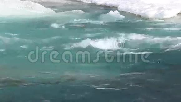 春天河水里的冰融化视频的预览图
