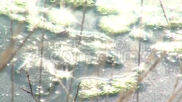 温泉在复杂的卢皮特保加利亚视频的预览图