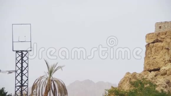 空中客机降落在埃及山脉和棕榈树的背景上视频的预览图