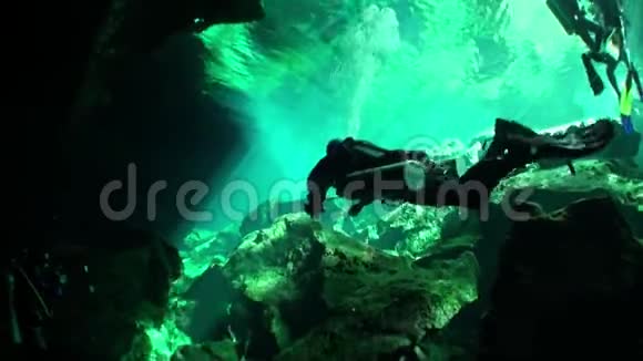 尤卡坦河在墨西哥水下视频的预览图