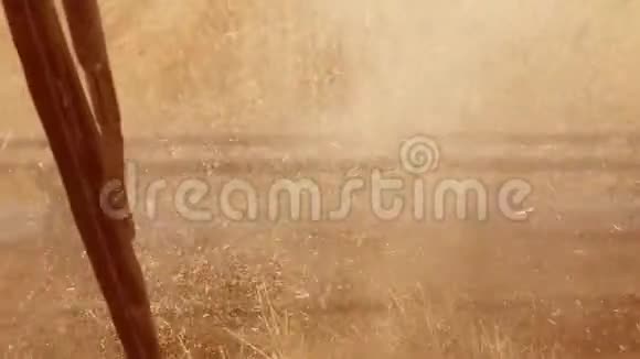 男子农民驾驶结合收割与小麦从联合沙龙生活方式从第一个视频的预览图