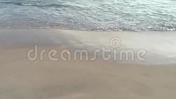 日出时在海滩上挥手视频的预览图