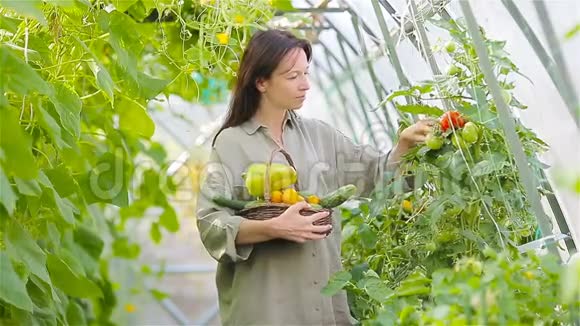 温室里有一篮子绿色植物和蔬菜的年轻女人收获时间视频的预览图