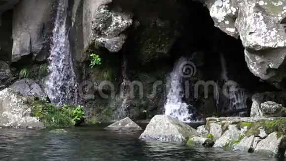 韩国济州岛Cheonjeyeon瀑布视频的预览图