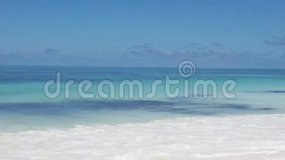 热带海洋视频的预览图