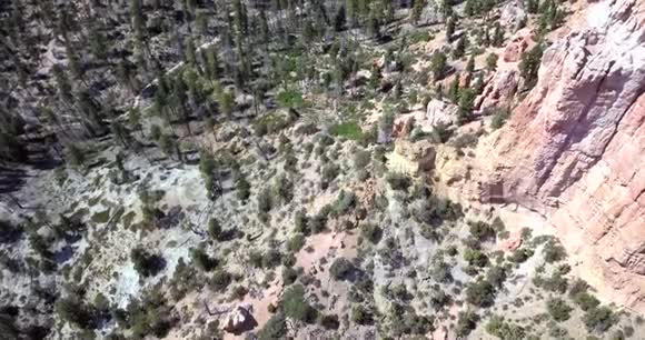 布莱斯峡谷国家公园的鸟瞰图视频的预览图