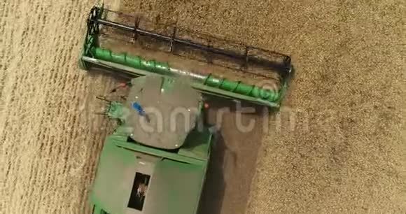 在大型麦田上工作的联合收割机和拖拉机麦田上的收割机和绿色收割机上的鸟瞰图视频的预览图