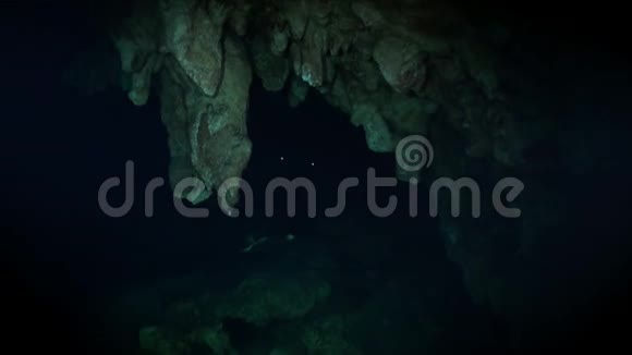 墨西哥尤卡坦洞穴水下潜水视频的预览图