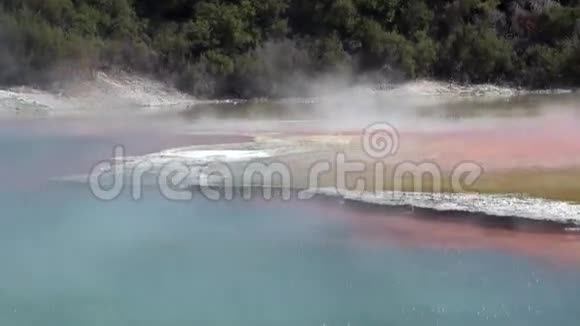 在新西兰森林的背景下喷泉为温泉浇水视频的预览图