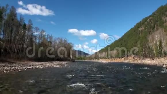 俄罗斯西伯利亚山区和森林的河流急流视频的预览图