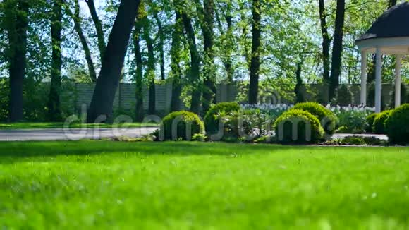美丽的花园绿草如茵视频的预览图