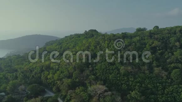 泰国热带丛林无人机飞行野山自然树和棕榈视频的预览图