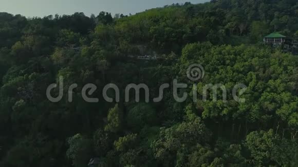 泰国热带丛林无人机飞行野生自然树和棕榈视频的预览图