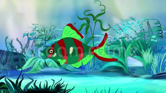 红绿色水族馆鱼缸里的鱼视频的预览图