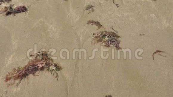 黄沙作品浪漫可爱的装饰表演视频的预览图