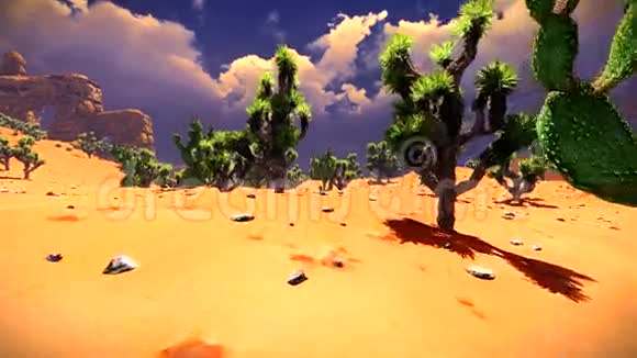 美国沙漠动画视频的预览图