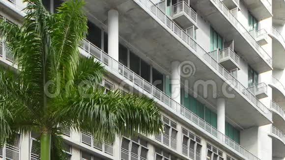 一栋大楼和一棵棕榈树视频的预览图