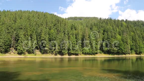 乌克兰喀尔巴阡山脉的塞内维尔湖视频的预览图