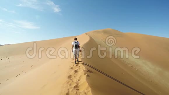 游客步行在风景秀丽的沙丘Sossusvlei纳米布沙漠纳米布诺克洛夫特国家公园纳米比亚视频的预览图