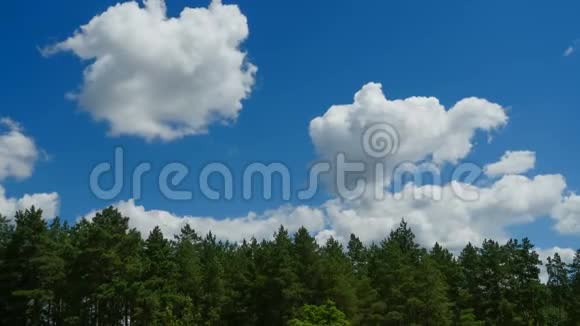 云彩在蓝天上飞过树木时间流逝视频的预览图