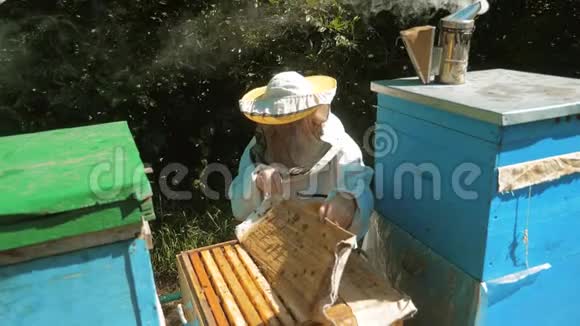 养蜂人在蜂群里工作的蜂群飞行多彩蜂窝慢动作视频蜜蜂制造者的生活方式视频的预览图