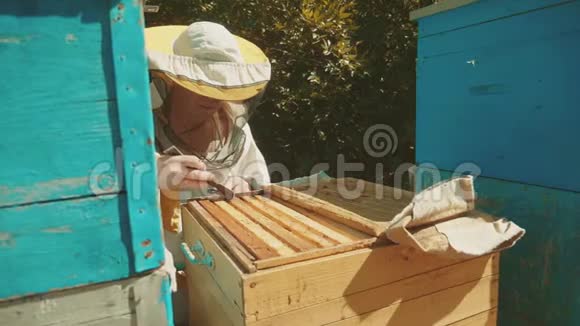 养蜂人工作生活方式中的蜂群飞行多彩蜂窝慢动作视频蜜蜂制造者视频的预览图