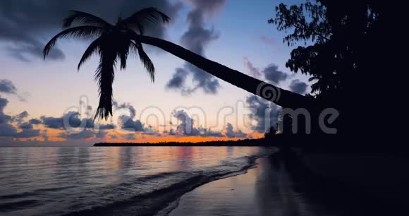 美丽的日出视频在热带岛屿海滩巴瓦罗多米尼加共和国蓬塔卡纳度假村视频的预览图