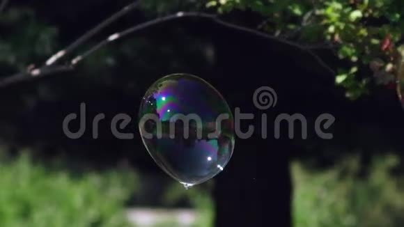 大泡泡闪耀着彩虹的色彩视频的预览图