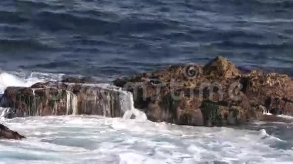 风景海岸线视频的预览图