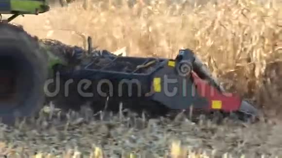 联合小麦玉米地收割机视频的预览图