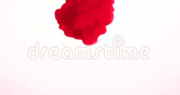 白色背景下水中的抽象红墨水视频的预览图