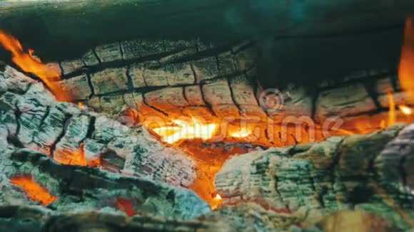 树枝的篝火在森林中燃烧视频的预览图