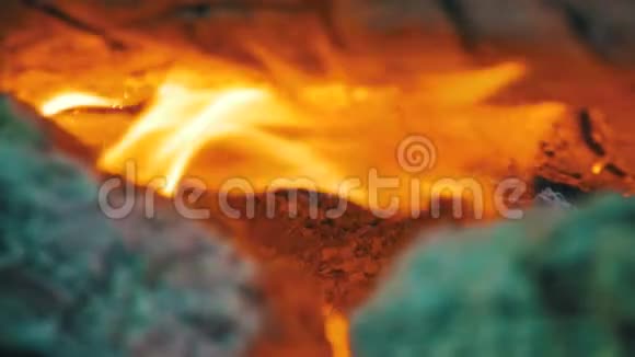 树枝的篝火在森林中燃烧视频的预览图