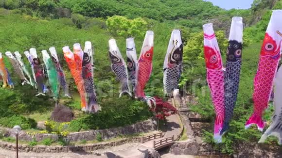 日本鲤鱼风筝流光视频的预览图