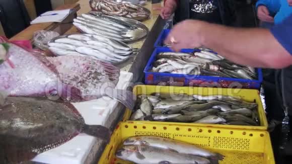 鱼类商店柜台上的新鲜海鱼视频的预览图