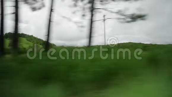 一片广阔的草地和树木视频的预览图